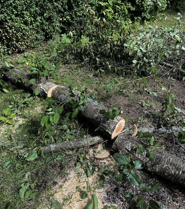 Ungdomskraft på sociala medier