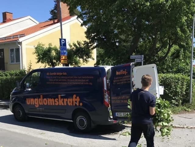 Ungdomskraft på sociala medier