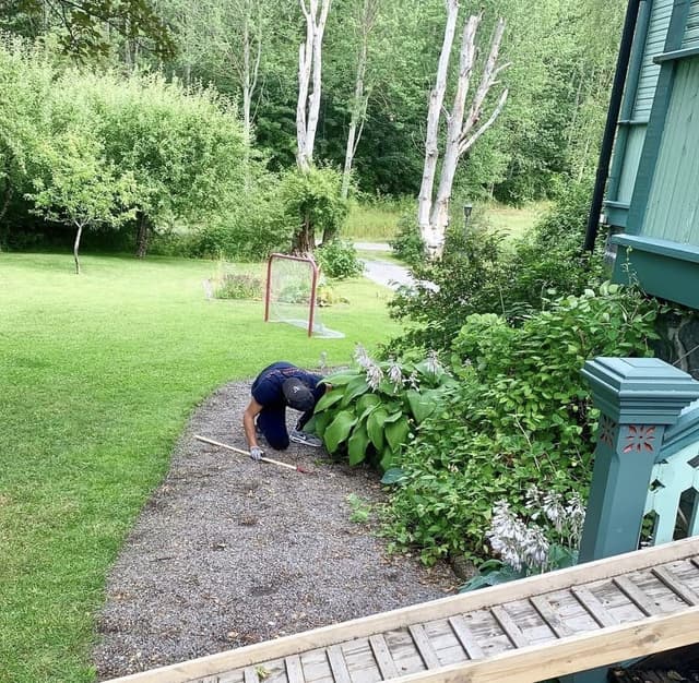 Ungdomskraft på sociala medier