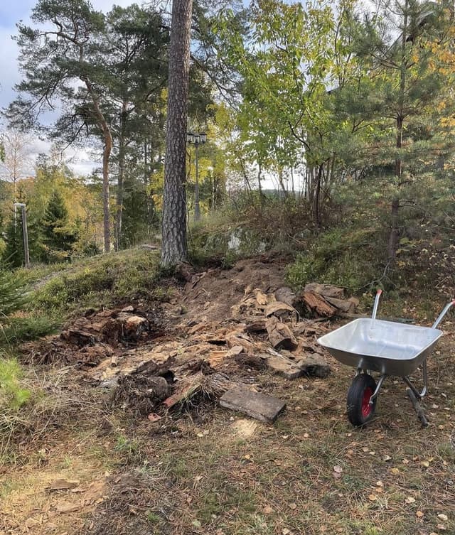 Ungdomskraft på sociala medier