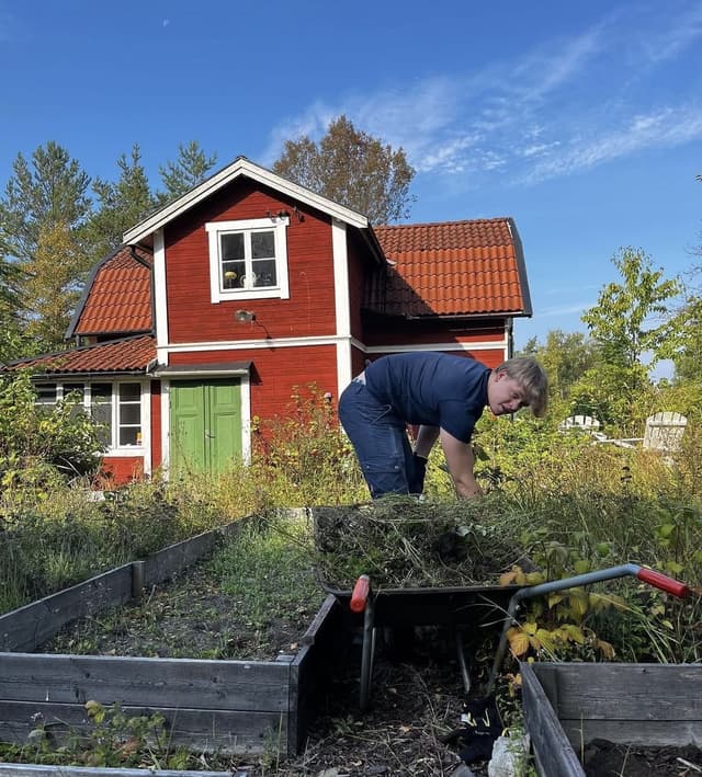 Ungdomskraft på sociala medier