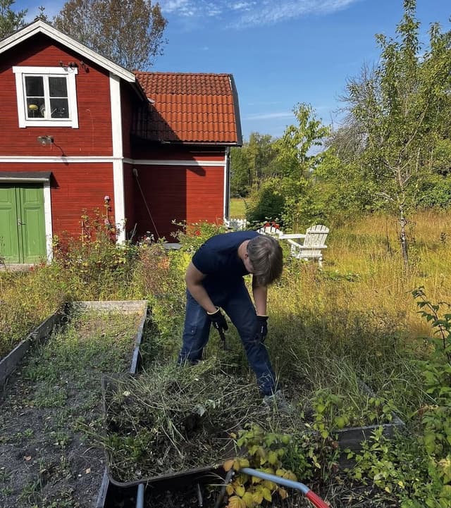 Ungdomskraft på sociala medier