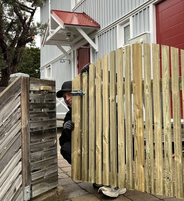 Ungdomskraft på sociala medier